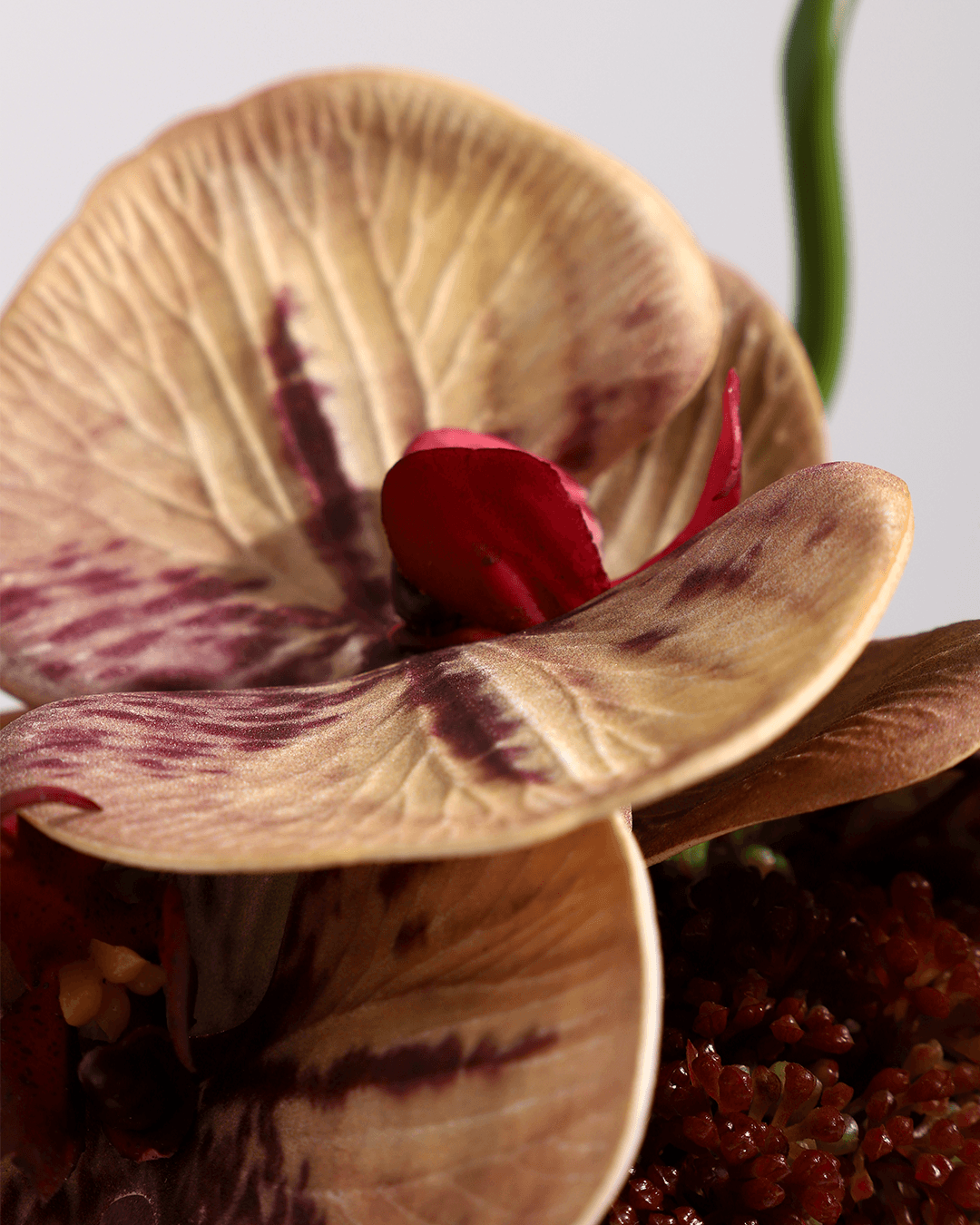 Orchid Artificial Flowers with Ceramic Red Vase