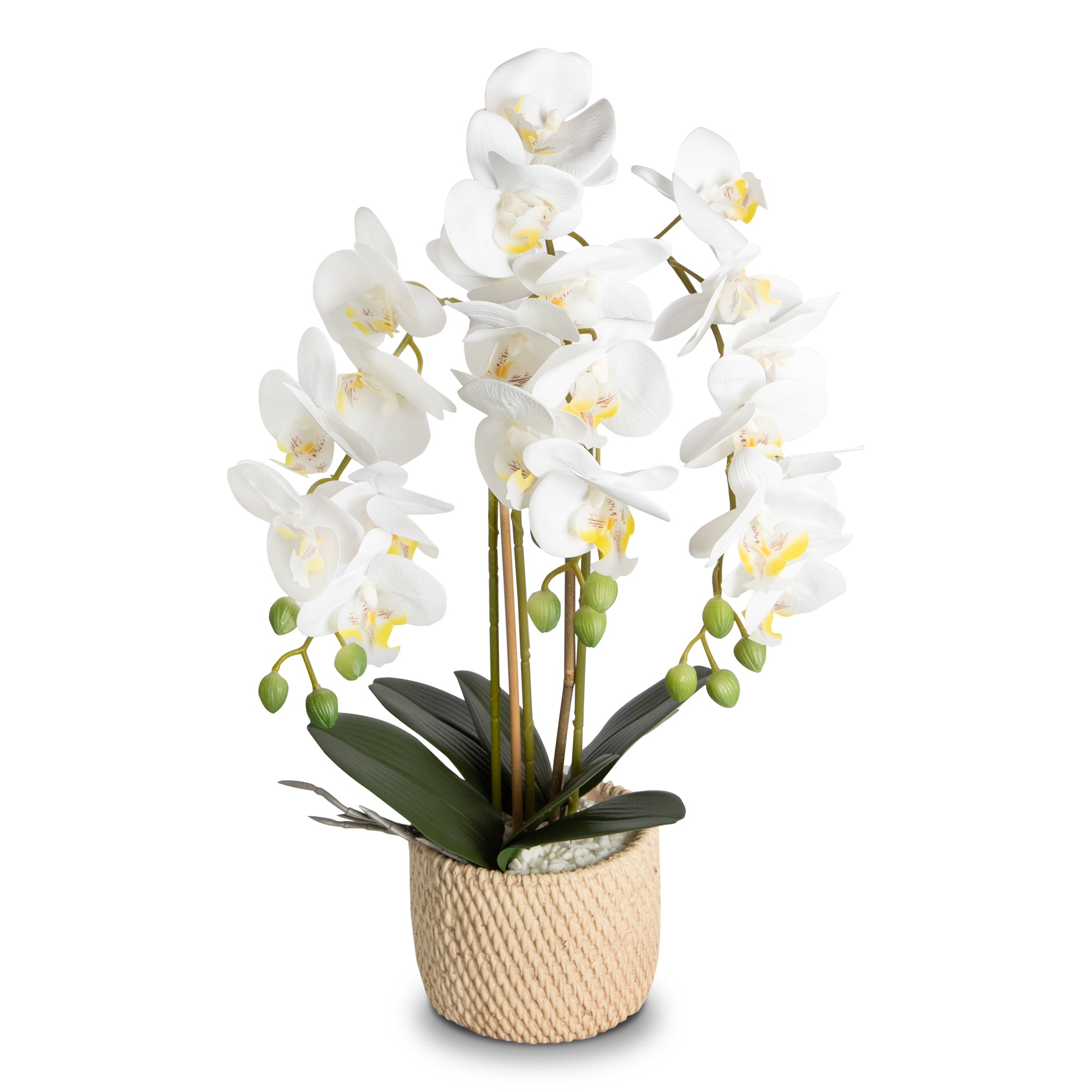 Faux Orchid Potted Floral Arrangement