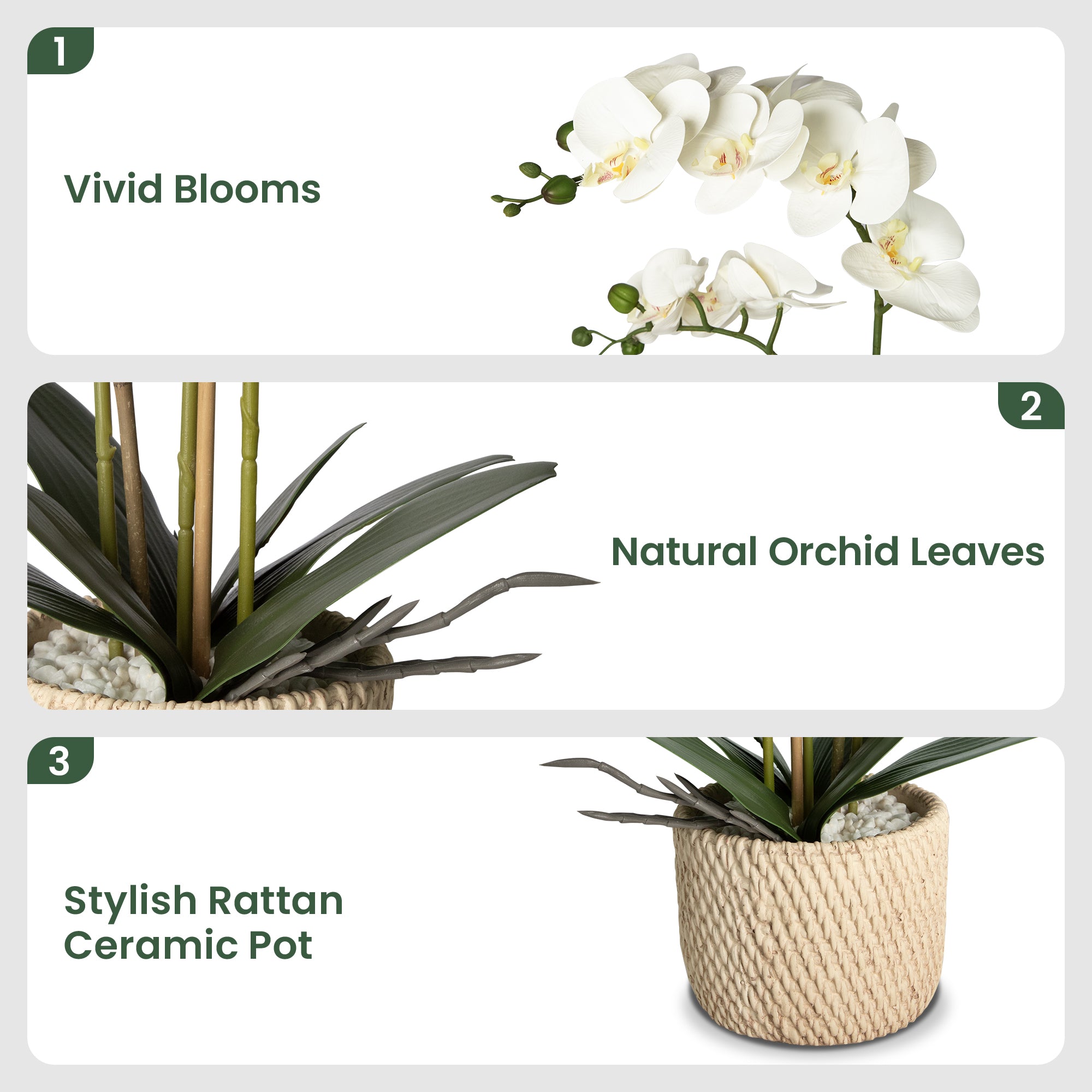 Faux Orchid Potted Floral Arrangement