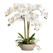 Faux Potted Orchid Floral Arrangement