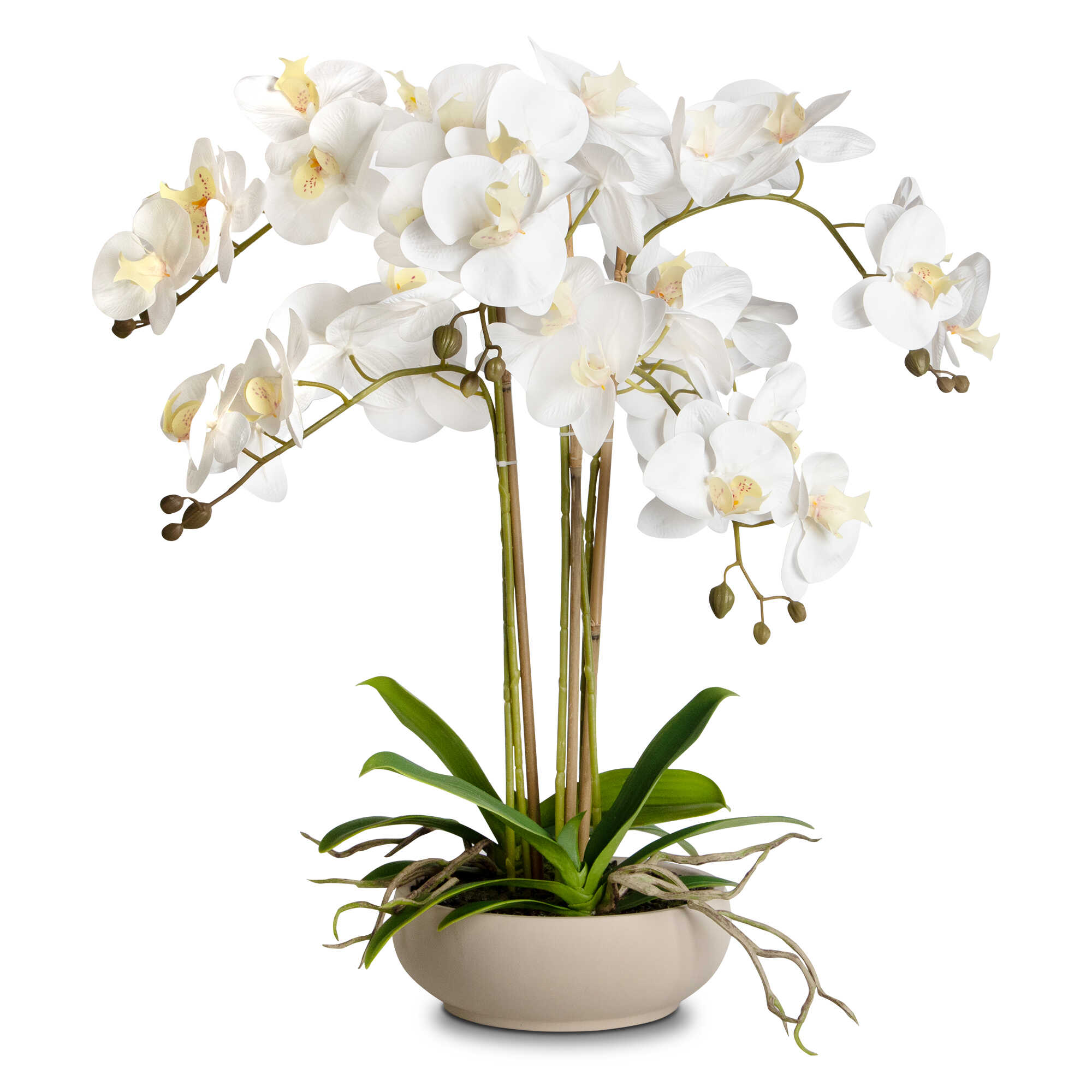 Faux Potted Orchid Floral Arrangement