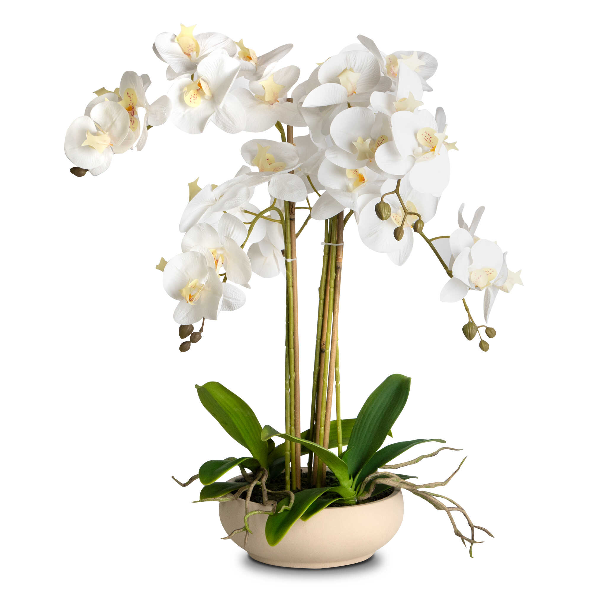 Faux Potted Orchid Floral Arrangement