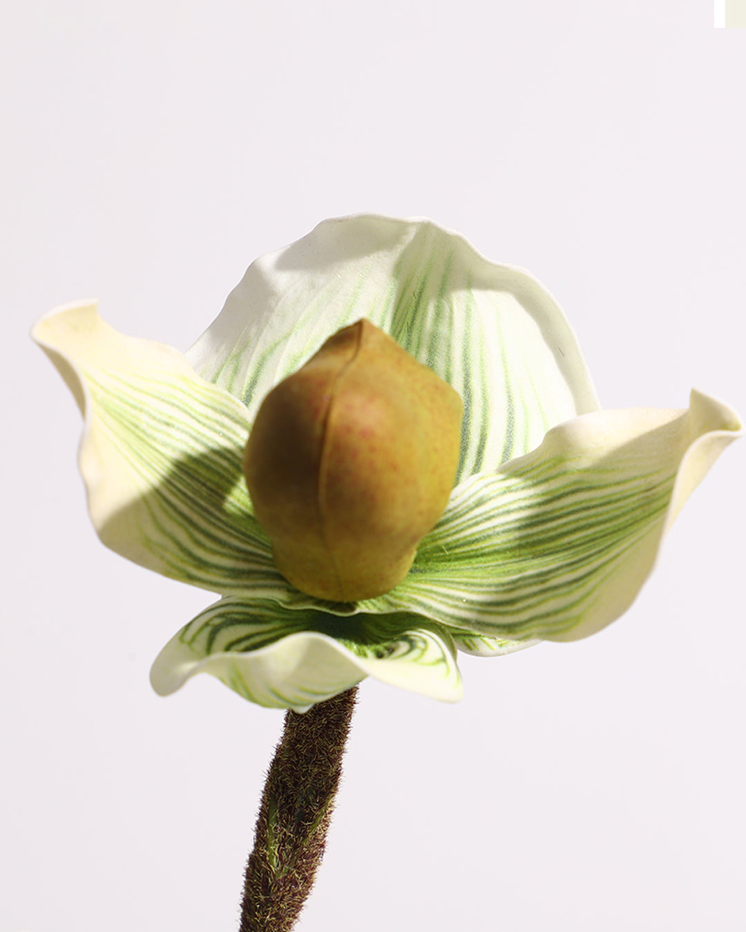 Art Table Floral Arrangement with Glass Vase